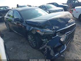 253-10096l Factory Driver Left Air Bag Front Roof Fits 17-19 Cadenza 1738726
