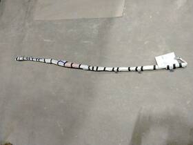 985p16lb8a Nissan Driver Left Front Roof Air Bag Fits 20-24 Sentra 2932115
