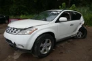 Air Bag For Passenger Roof Fits 03-04 Murano 1727641. Fixed Price $174.00.