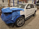 Used Steering Wheel Air Bag Fits: 2016 Cadillac Escalade Esv Driver W/o Pl. Fixed Price $182.50.
