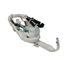 Roof Curtain For Sedona 85020A9100 Right. Fixed Price $134.99.