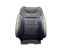 2018-2020 Ford F150 Raptor Front Right Upper Heated & Cooled Seat Cushion (rb). Fixed Price $299.19.