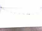 2011-2013 Mercedes-benz E350 Driver Roof Top Curtain 212-860 *sdn. Fixed Price $138.65.