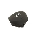 Driver For Santa Fe 80100S2000SST Brn-drvr Only Left. Fixed Price $169.99.