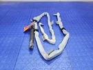 04-09 Lexus RX330 RX350 RX400H Passenger Side Curtain Roof Air Bag Right. Fixed Price $142.49.