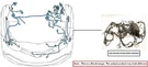 Engine Room Harness Oem 2018 Ford TRANSIT35. Fixed Price $200.00.