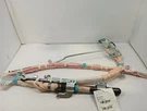 Srs Passenger/right Roof/curtain Airbag From 2005 Tacoma 11345363. Fixed Price $332.77.
