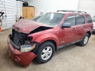 Air Bag Passenger Seat Thru 11/30/08 Fits 08-09 Escape 1845901. Fixed Price $145.00.