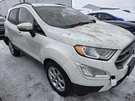 2018-2022 Ford Ecosport Front Passenger Roof Curtain Air Bag. Fixed Price $125.00.