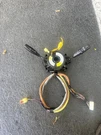 2002-2007 Suzuki XL7 Clock Spring Oem Used Turn Signal Wiper Switch Assembly. Fixed Price $145.00.