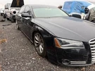 Seat Belt Front Bucket Passenger Retractor Fits 11-18 Audi A8 489362. Fixed Price $194.89.