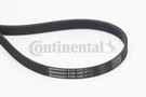 Continental Ctam 6PK1200 V-ribbed Belt For Citroen Dacia Land Rover Mazda Merce. Fixed Price $22.05.