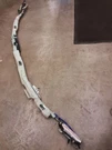 2008-2009 Ford Taurus Front Driver Roof Curtain Air Bag. Fixed Price $125.00.