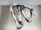 25 Nissan Altima Air Bag Driver Left Front Roof Oem. Fixed Price $175.00.