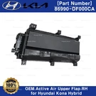 Genuine Oem 86990DF000CA Active Air Upper Flap For Hyundai Kona Hybrid. Fixed Price $156.75.