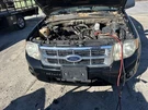 Air Bag Passenger Thru 11/29/09 Without Sunroof Fits 06-10 Escape 104949056. Fixed Price $168.90.