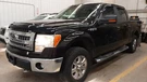 Seat Ford F150 Pickup Left Front Only. Fixed Price $124.99.