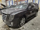 Driver Left Air Bag Roof Fits 15-20 Escalade 1497935. Fixed Price $209.75.