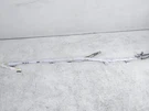 2007-2012 Lexus LS460 Passenger Roof Top Curtain 62170-50020. Fixed Price $138.65.
