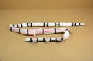 2021-2025 Nissan Rogue Right Passenger Side Upper Roof Curtain Head Airbag Oem. Fixed Price $149.00.