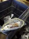 Air Bag For Passenger Seat Swb Sport Fits 17-18 Santa Fe 1500255. Fixed Price $180.00.